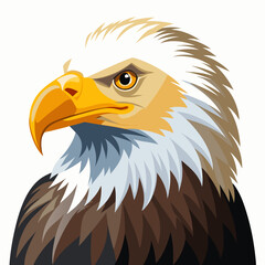 Vector illustration of an American Bald Eagle