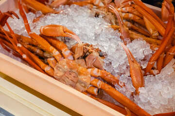 生の紅ズワイガニ