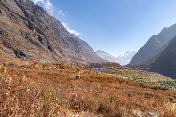 Langtang Valley Nepal