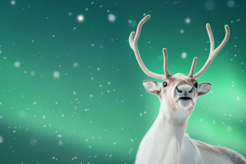 Majestic reindeer gazes under the northern lights in a winter wonderland