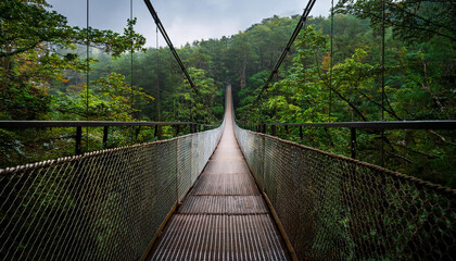 Obraz premium photo medium shot pharmacist helping patientg a red Christmas ornament