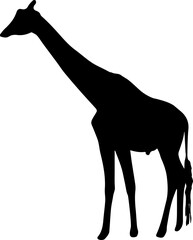 MobileSilhouette of giraffe isolated on white background. side view. vector design element eps 10
