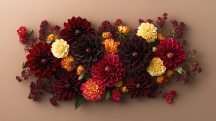 Dark red dahlias and yellow blossoms on taupe background with sunlight