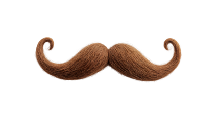 Vintage-inspired ginger curly mustache floating against transparent backdrop, lending classic retro character to graphic design