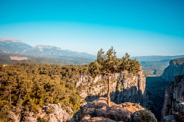 Stunning Canyon with a River Flowing through Green Forests