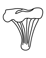Chanterelle popular edible mushroom outline, element growing in forest for coloring page
