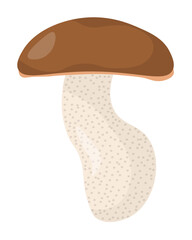 Boletus scaber wild edible mushroom in flat style, element growing in forest for education or design