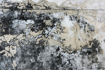 concrete wall texture
