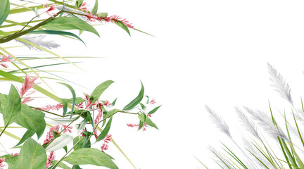 Reed meadow on transparent background PNG. 3D rendering