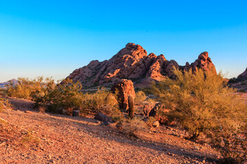 A desert landscape with a large mountain in the background