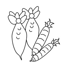 Collection of fresh vegetables outline for kids coloring book