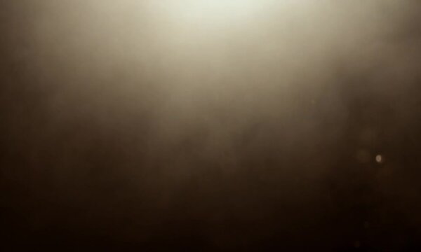 Dust Motes in Light Beams.mp4