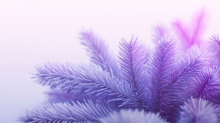 Vibrant purple foliage with soft hues.