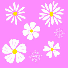 Vector illustration of a set of white daisy flowers on a pink background. Beautiful colors of summer and spring season. Nature design elements.