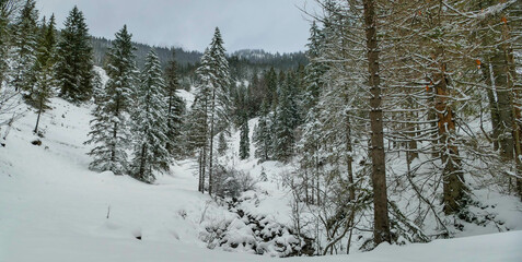 Landschaftspanorama Pfanngraben Bayern mit Schnee