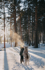 person walking in the snow