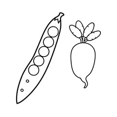 Collection of fresh vegetables outline for kids coloring book