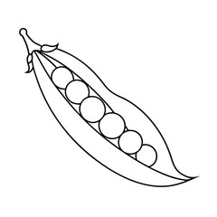 Coloring page. Composition of different vegetables on white background