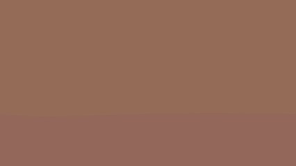 Simple abstract design featuring two horizontal shades of warm orange and red tones. A minimalistic and versatile background perfect for graphic design, branding, or artistic projects.