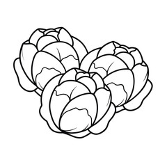 Coloring page. Composition of different vegetables on white background