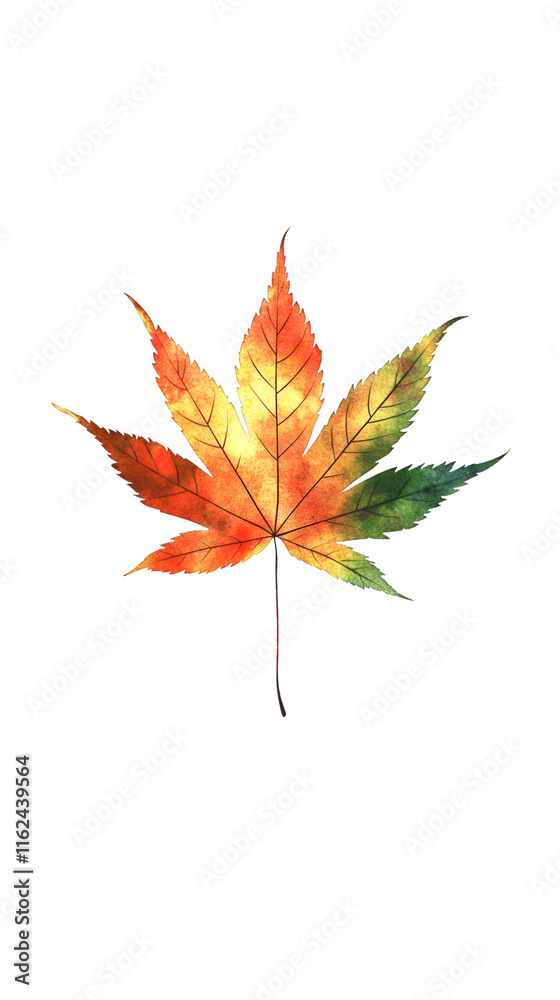 Aufkleber japanese maple leaf in autumn colors painted with watercolor on a transparent background