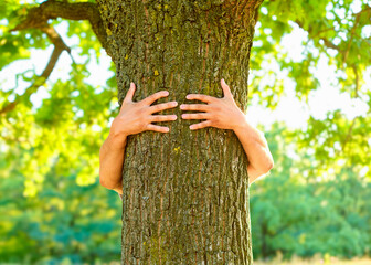 human hands hugging tree, care and protection