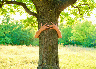 human hands hugging tree, care and protection