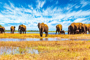 Tributary of the Zambezi River.