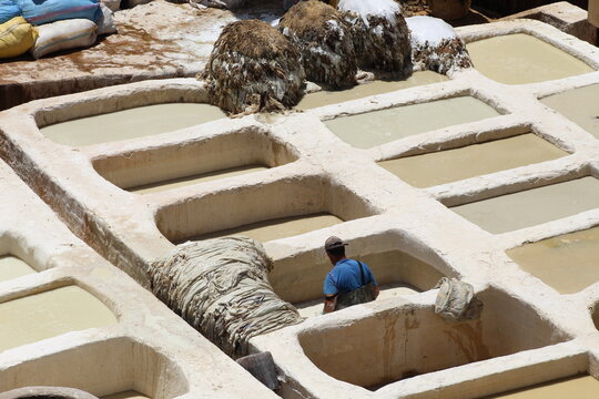 Artisan travailleur dans la tannerie de F&egrave;s, Maroc
