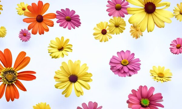 Floating Daisies.mp4