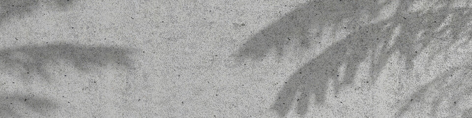 Empty concrete with palm shadow texture banner background