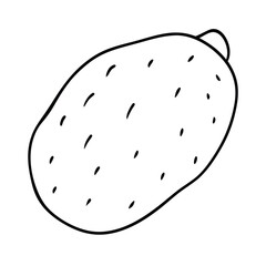 Coloring page. Composition of different vegetables on white background
