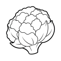 Coloring page. Composition of different vegetables on white background