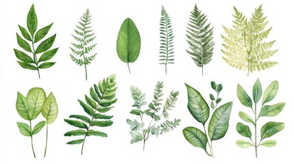 set of plants