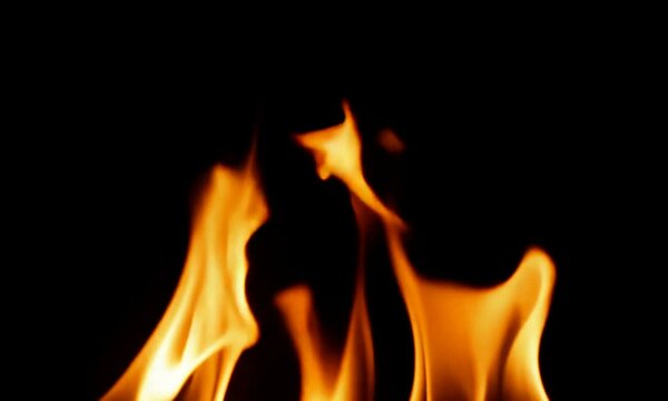 Golden Flames Dance in the Dark.mp4