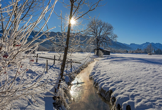 Winter - Allg&auml;u - Schnee - Bach - Baum - Stadel - Sonthofen - Traumtag