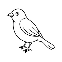 bird on a white background