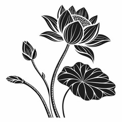 Lotus Blossom vector silhouette black design white background