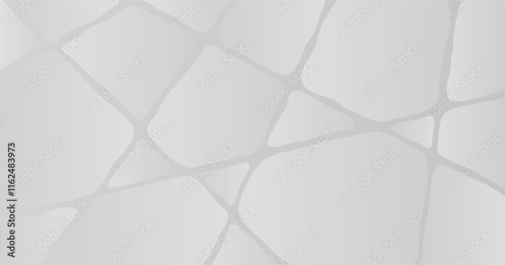 Poster subtle gray abstract texture. vector of light gray organic lines and shapes. the gentle contrast and