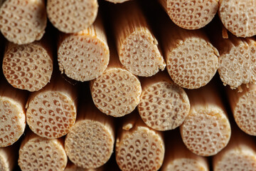 Close-up of bundled wooden dowels, revealing intricate wood grain patterns and textures.  Natural, organic material.