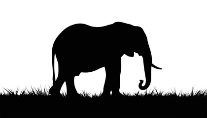Fototapeta premium Silhouette of an elephant standing in grass