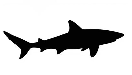 Fototapeta premium Black silhouette of a shark swimming in the ocean