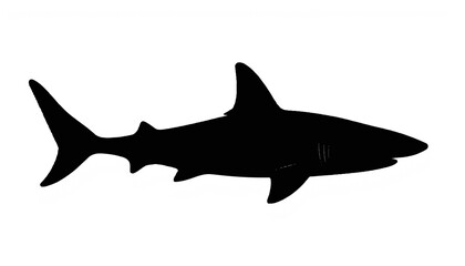 Naklejka premium Silhouette of shark swimming in the ocean