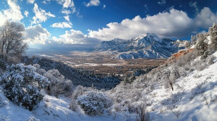 snow covered mountains