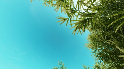 Bamboo forest wallpaper on clear blue sky. 3D rendering