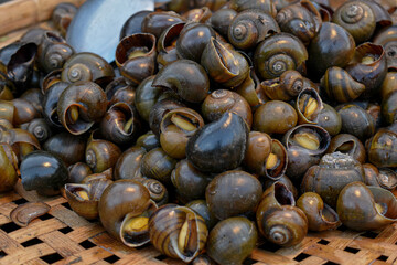 Steamed mussels to eat with dipping sauce
