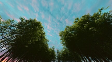 Bamboo forest wallpaper on clear blue sky. 3D rendering