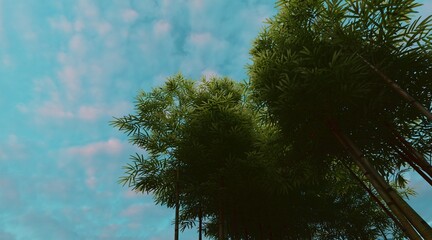 Bamboo forest wallpaper on clear blue sky. 3D rendering