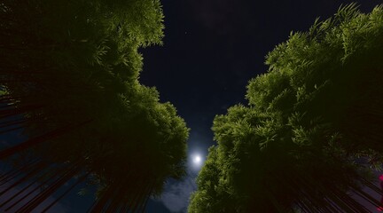 Bamboo forest wallpaper on the evening sky. 3D rendering