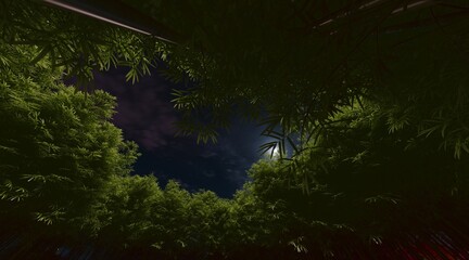 Bamboo forest wallpaper on the evening sky. 3D rendering